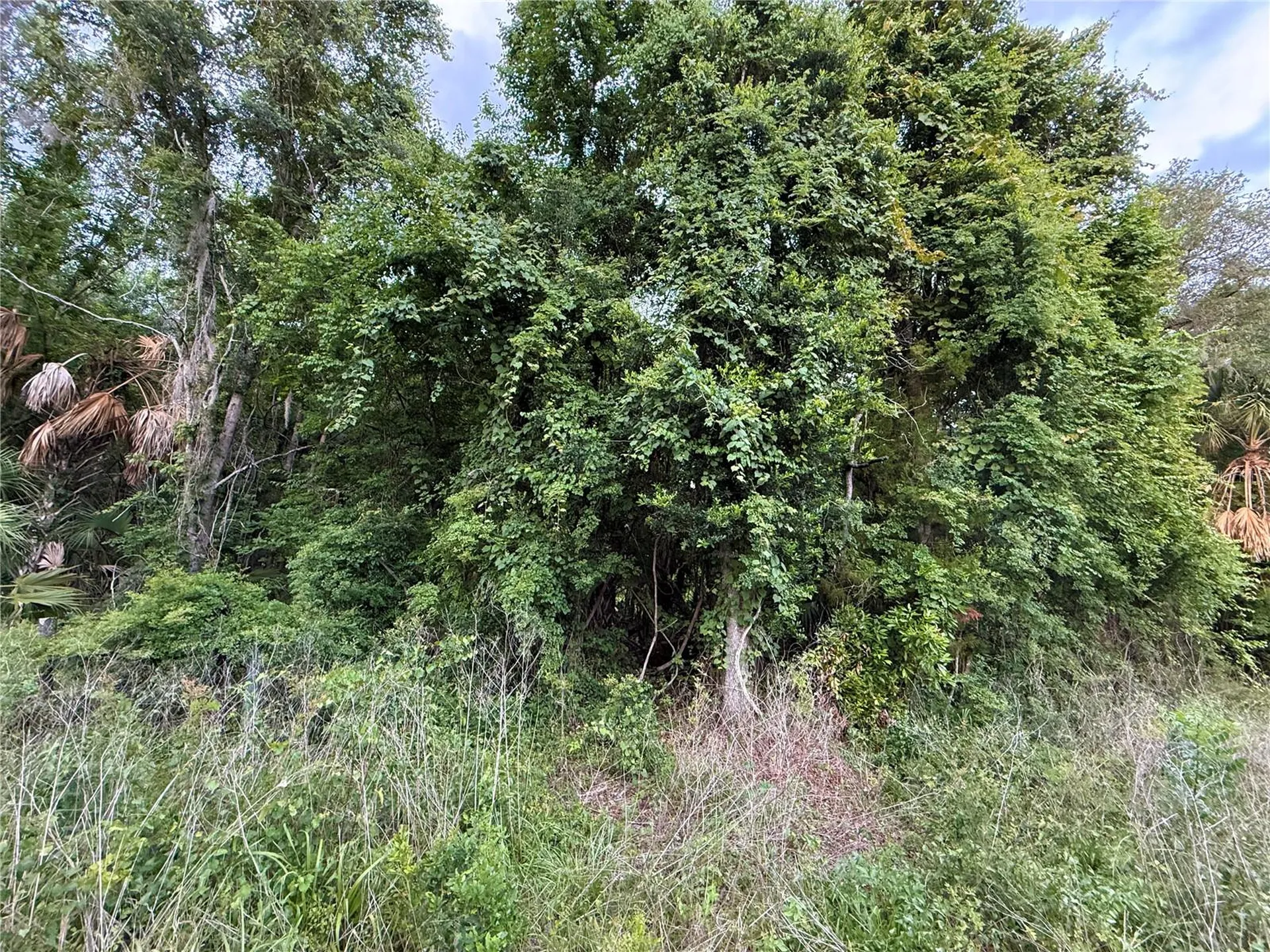 000 NW 68 Terrace Chiefland FL 32626