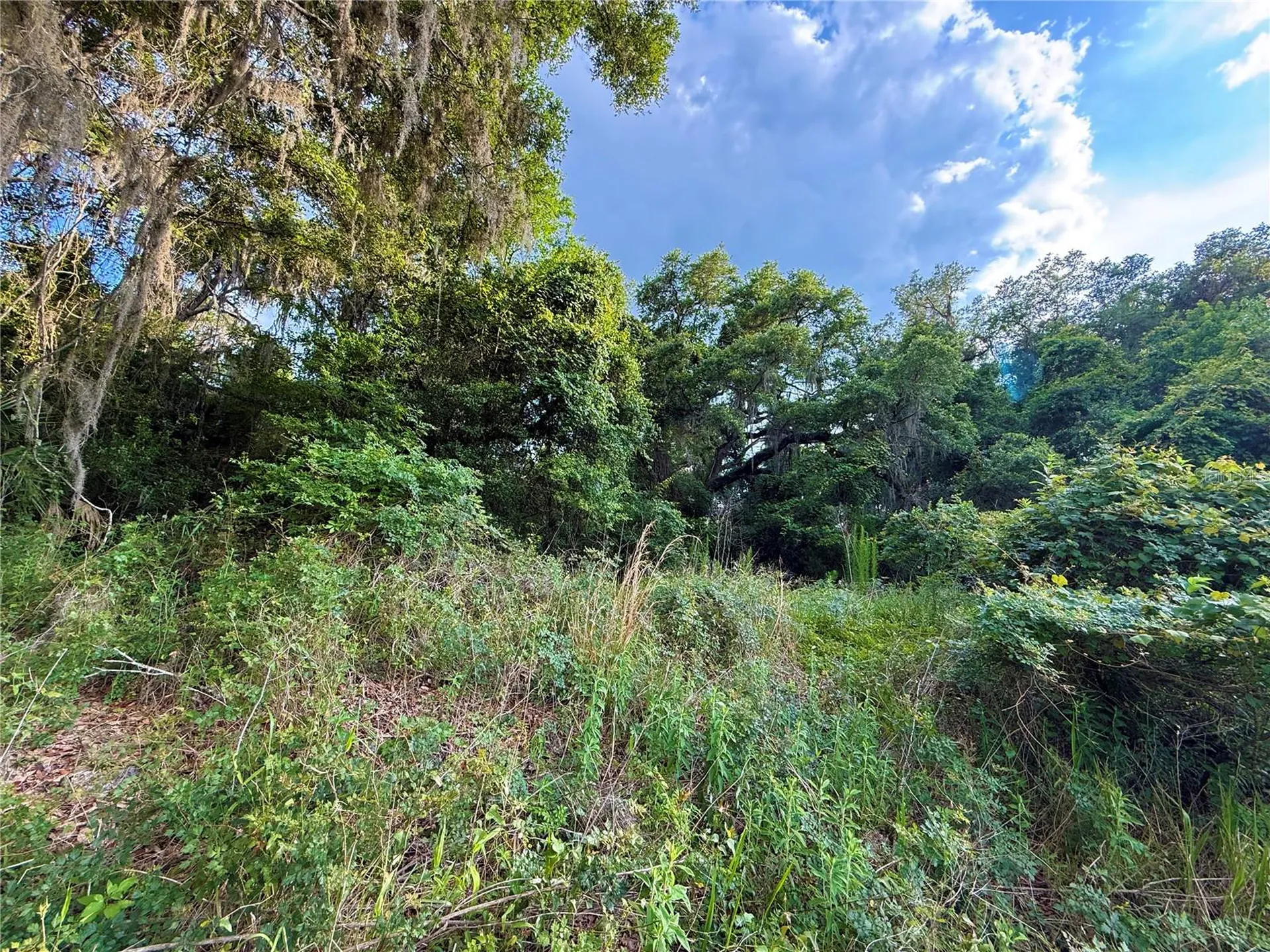 000 NW 68 Terrace Chiefland FL 32626