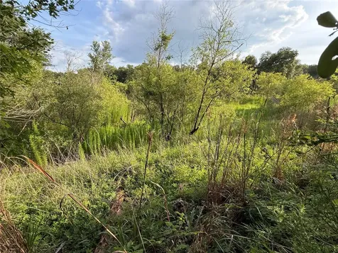000 NW 68 Terrace Chiefland FL 32626