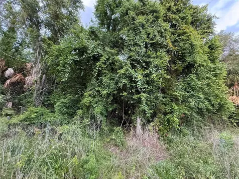 000 NW 68 Terrace Chiefland FL 32626