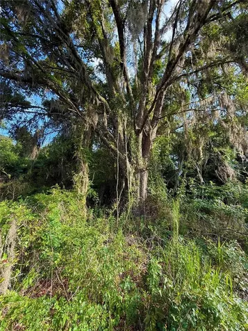 000 NW 68 Terrace Chiefland FL 32626