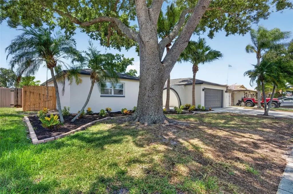 12114 Rhonda Terrace Seminole FL 33772