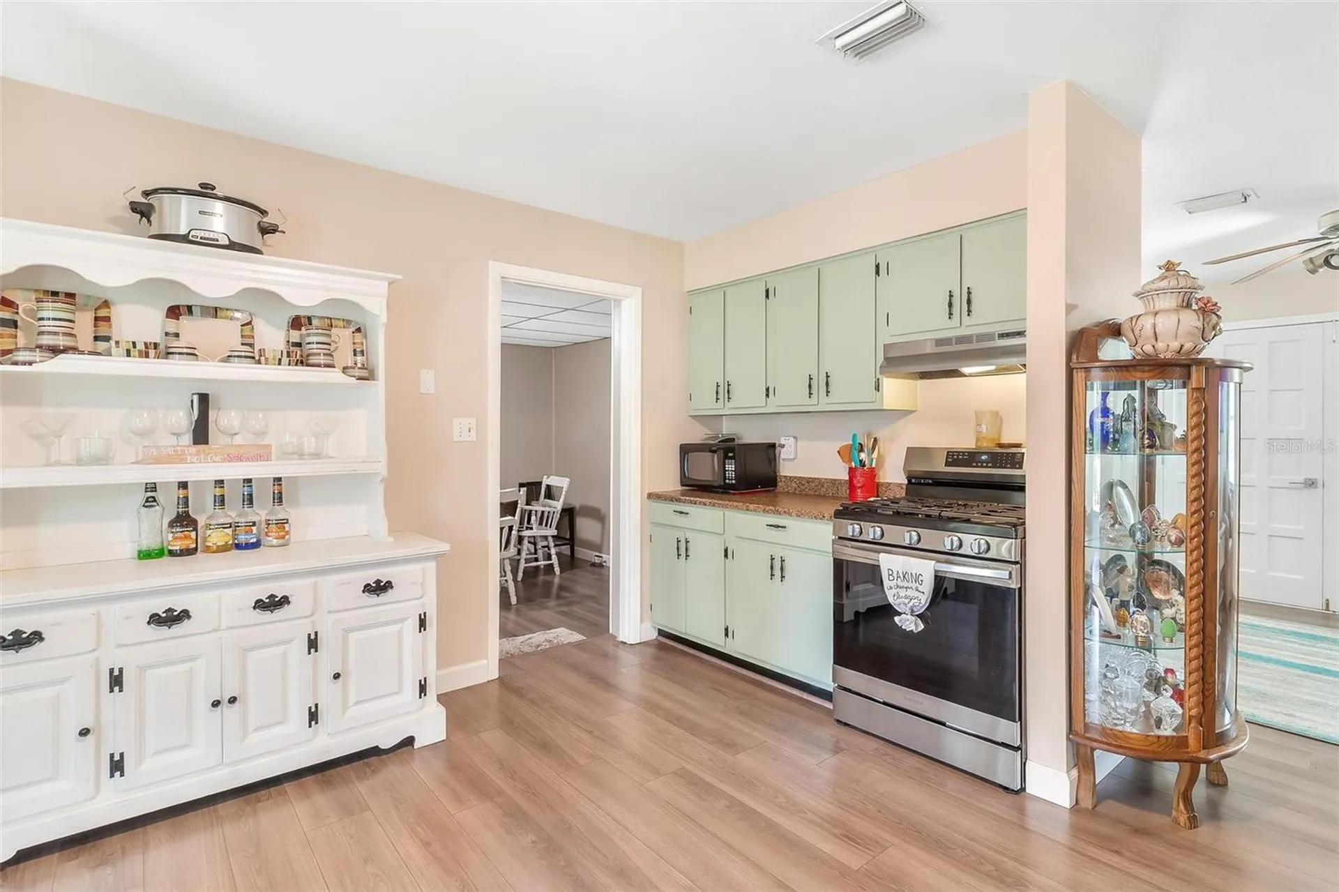 709 Cindy Avenue Fruitland Park FL 34731