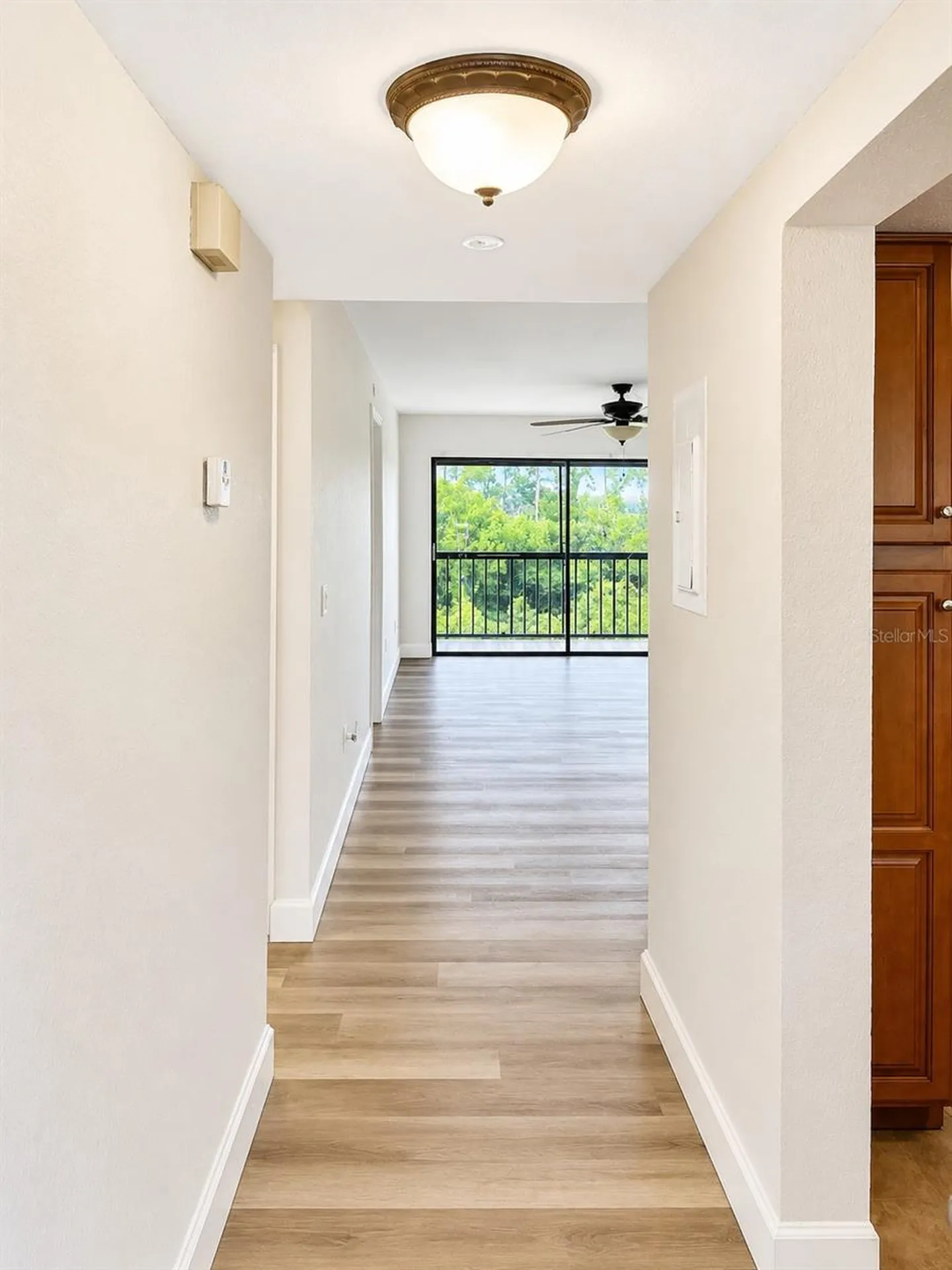 1054 Lotus Cove Court Altamonte Springs FL 32714
