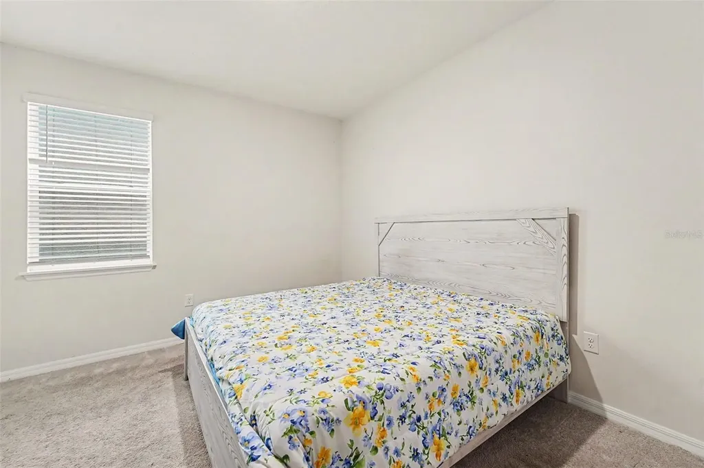 3221 Living Coral Drive Odessa FL 33556