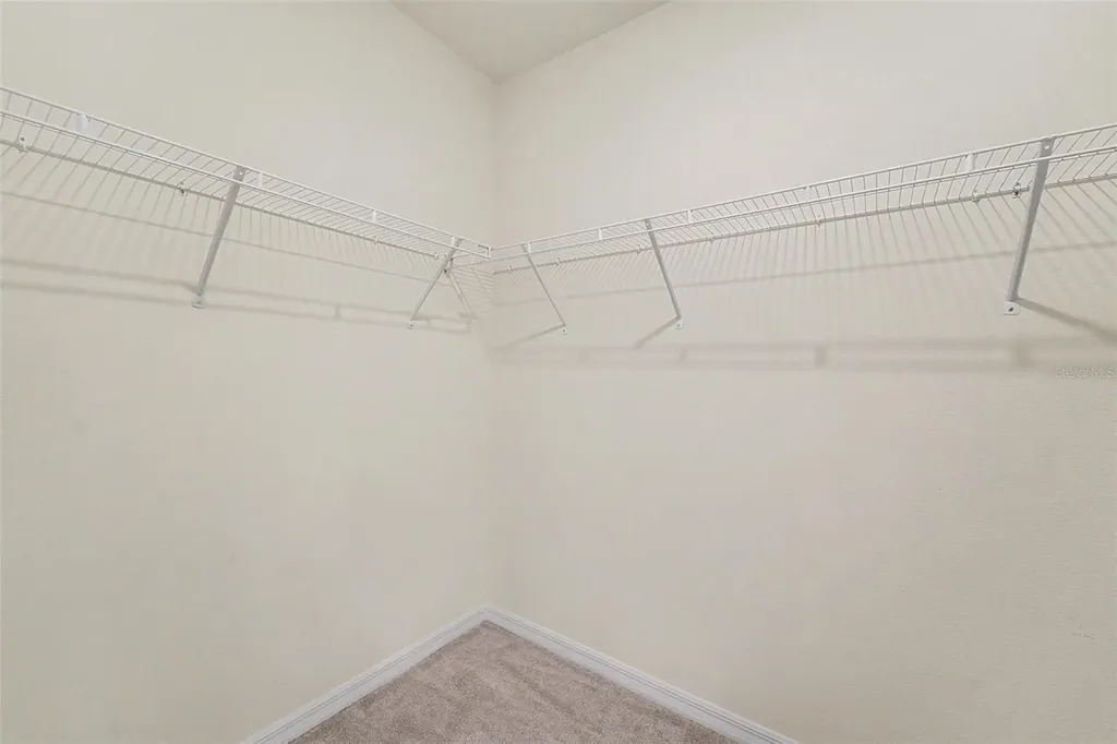 3221 Living Coral Drive Odessa FL 33556