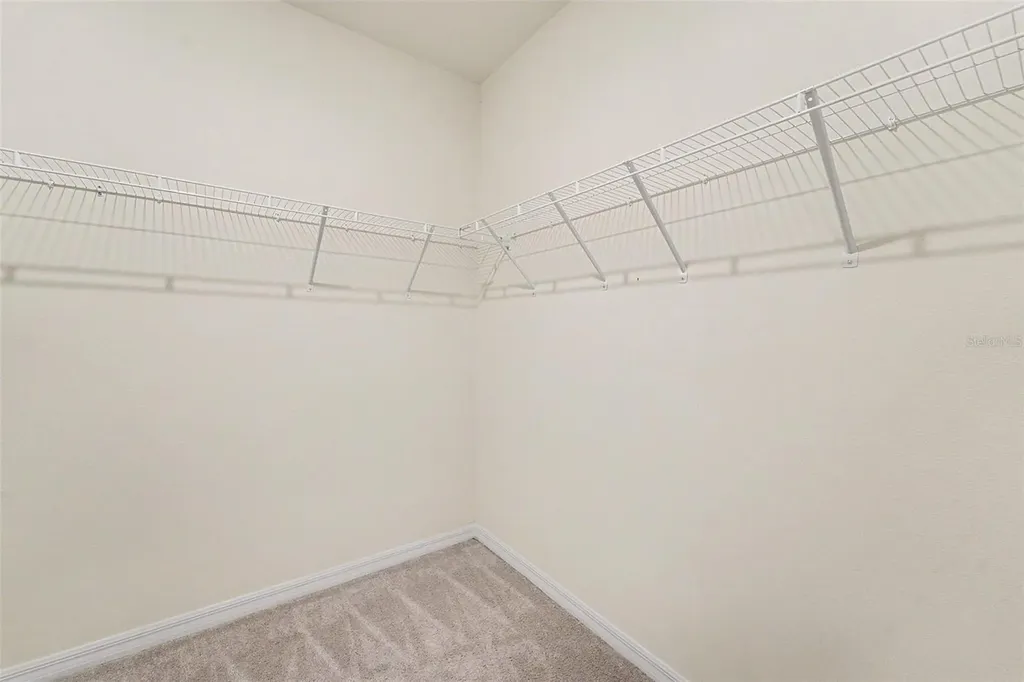 3221 Living Coral Drive Odessa FL 33556