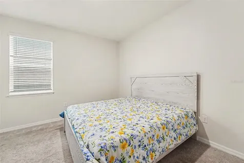 3221 Living Coral Drive Odessa FL 33556