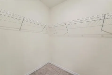3221 Living Coral Drive Odessa FL 33556