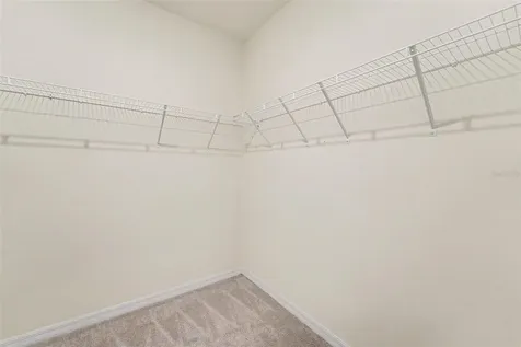 3221 Living Coral Drive Odessa FL 33556