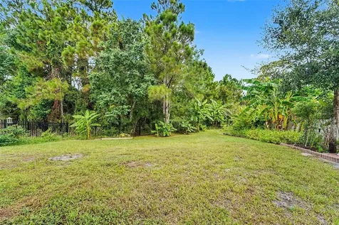 3221 Living Coral Drive Odessa FL 33556
