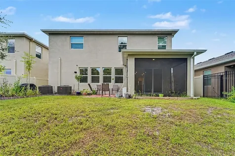 3221 Living Coral Drive Odessa FL 33556