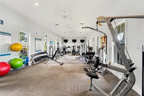 3221 Living Coral Drive Odessa FL 33556