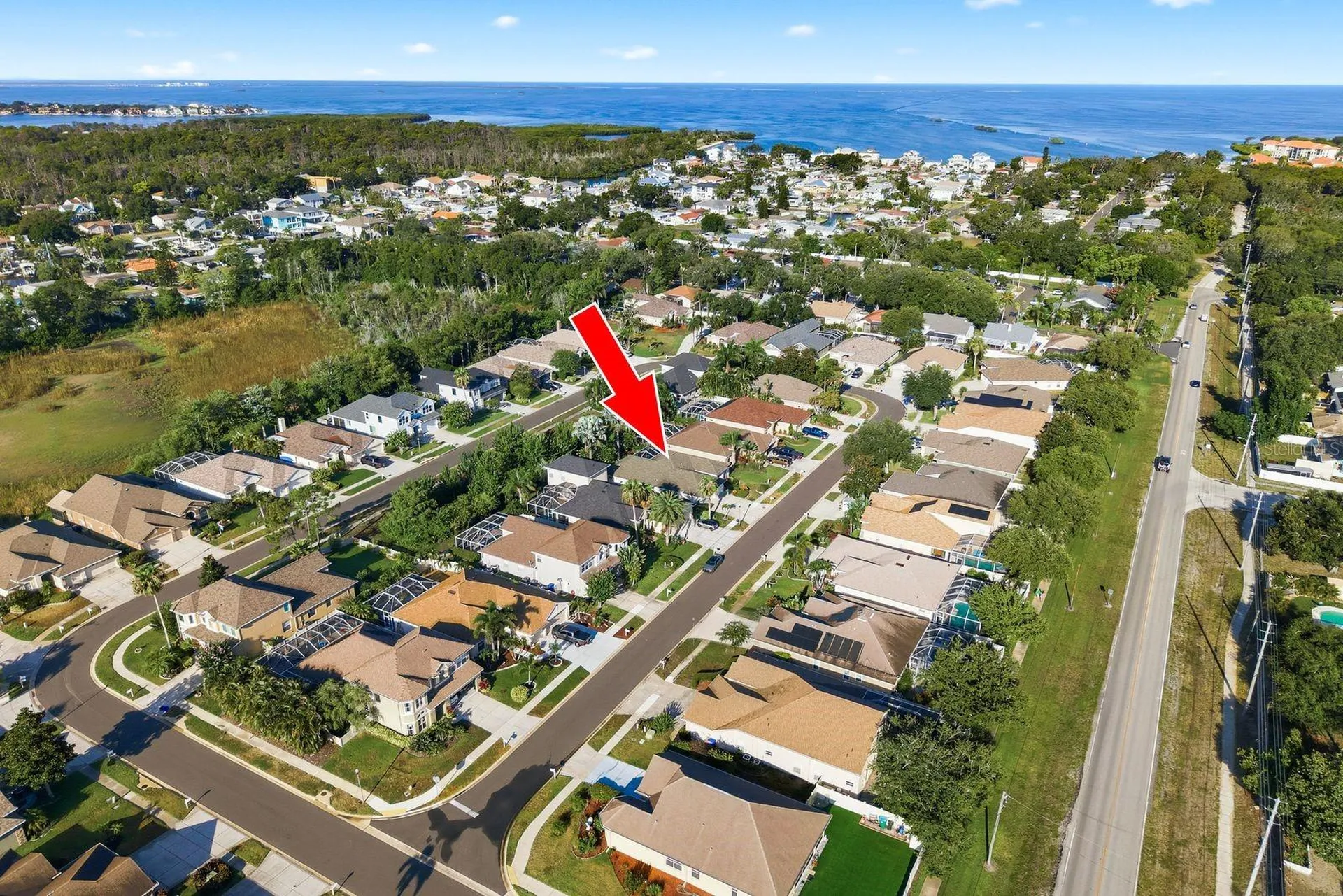 4882 W Breeze Circle Palm Harbor FL 34683
