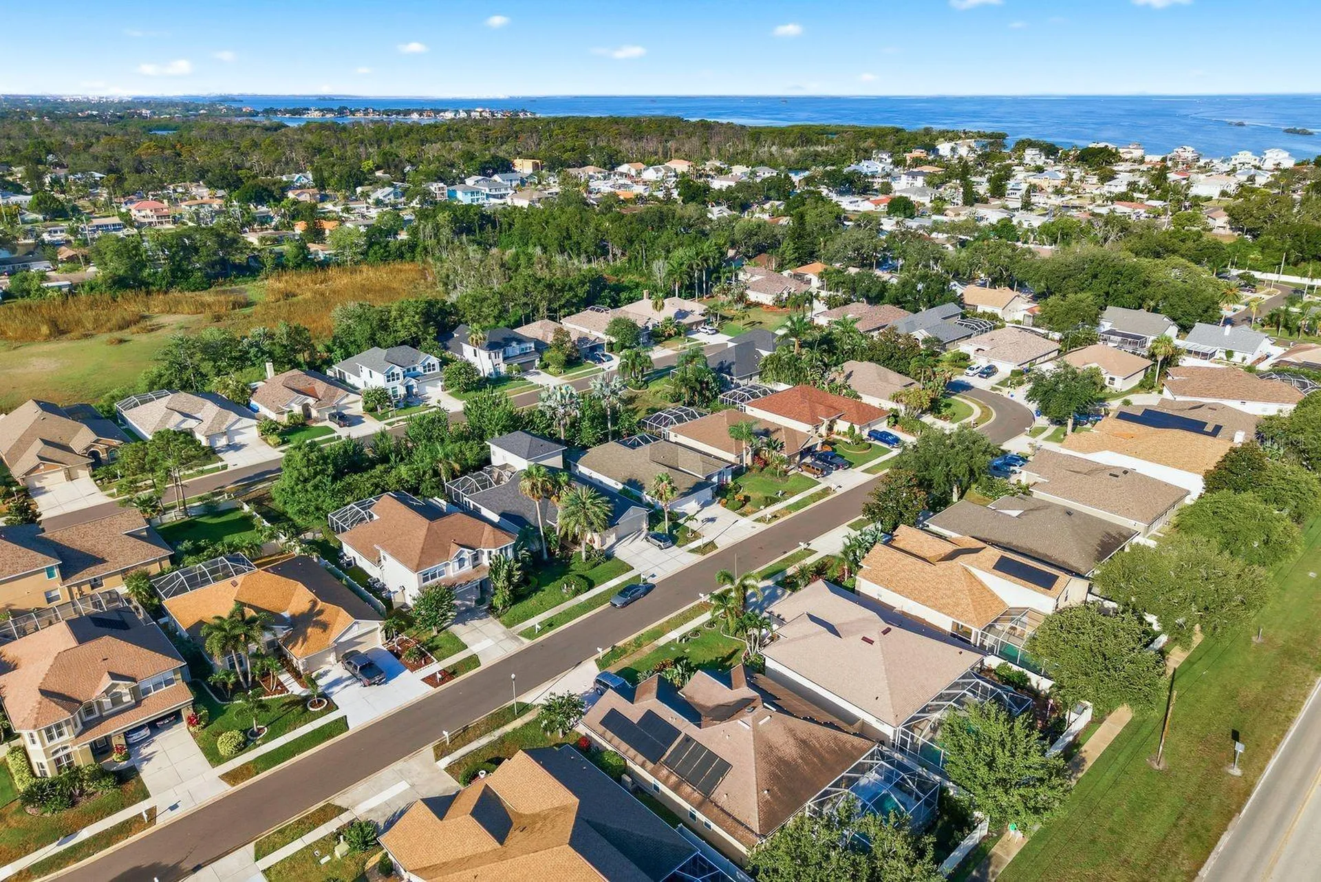 4882 W Breeze Circle Palm Harbor FL 34683