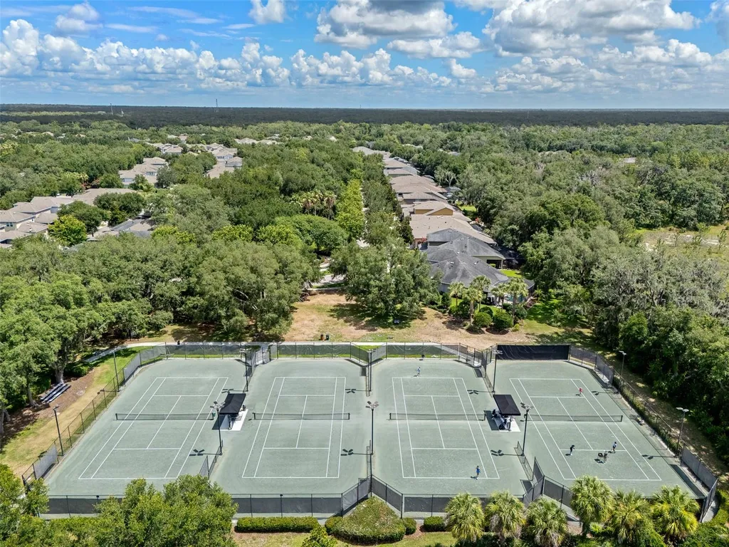 15814 Starling Water Drive Lithia FL 33547