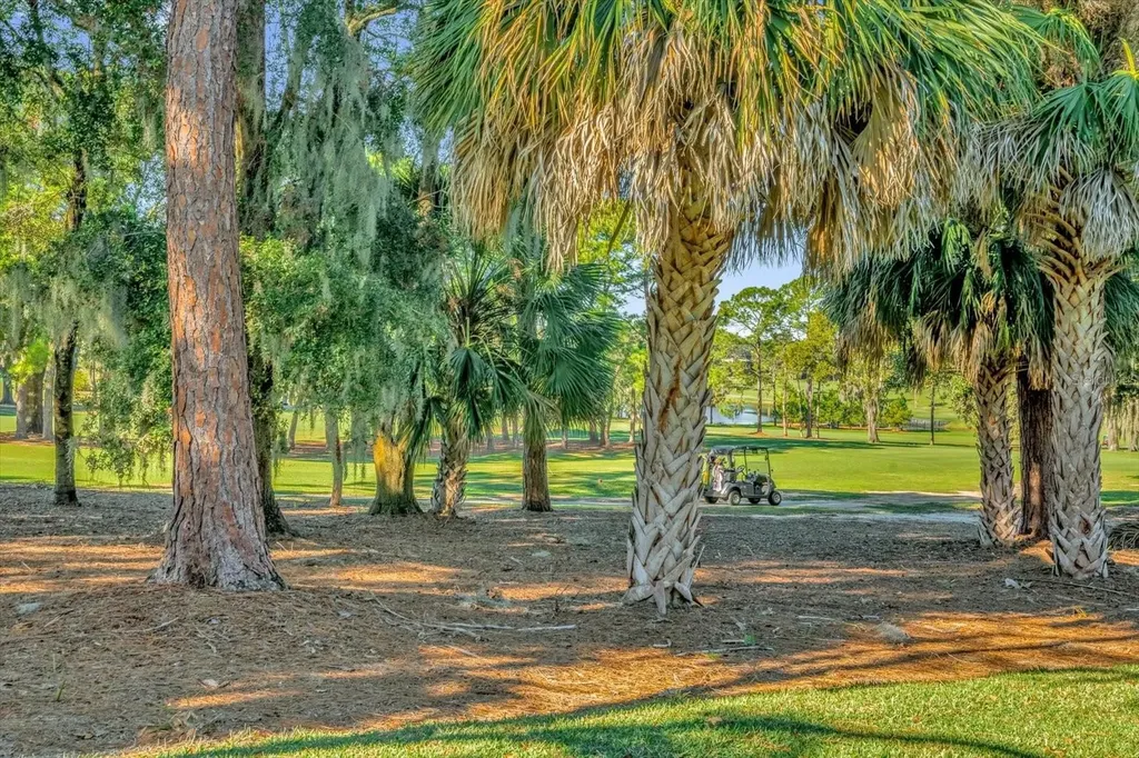 202 Camino Real Boulevard Howey In The Hills FL 34737