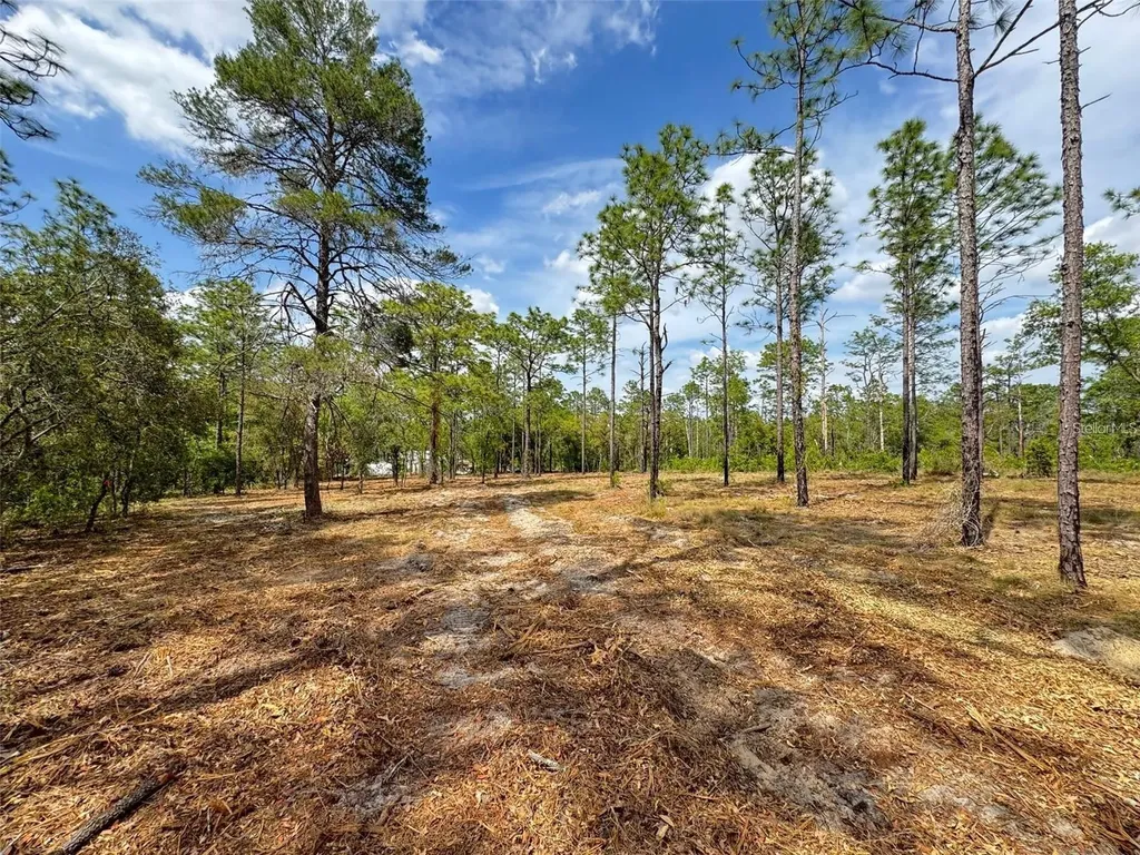 SW Edgewater Boulevard Dunnellon FL 34431