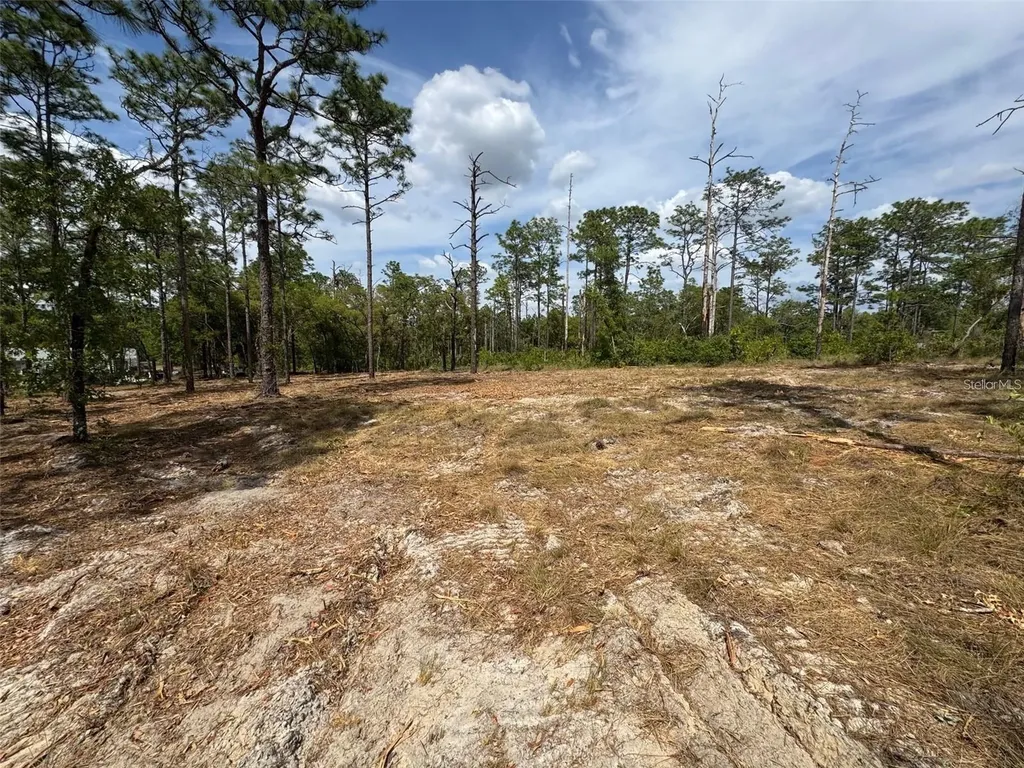 SW Edgewater Boulevard Dunnellon FL 34431