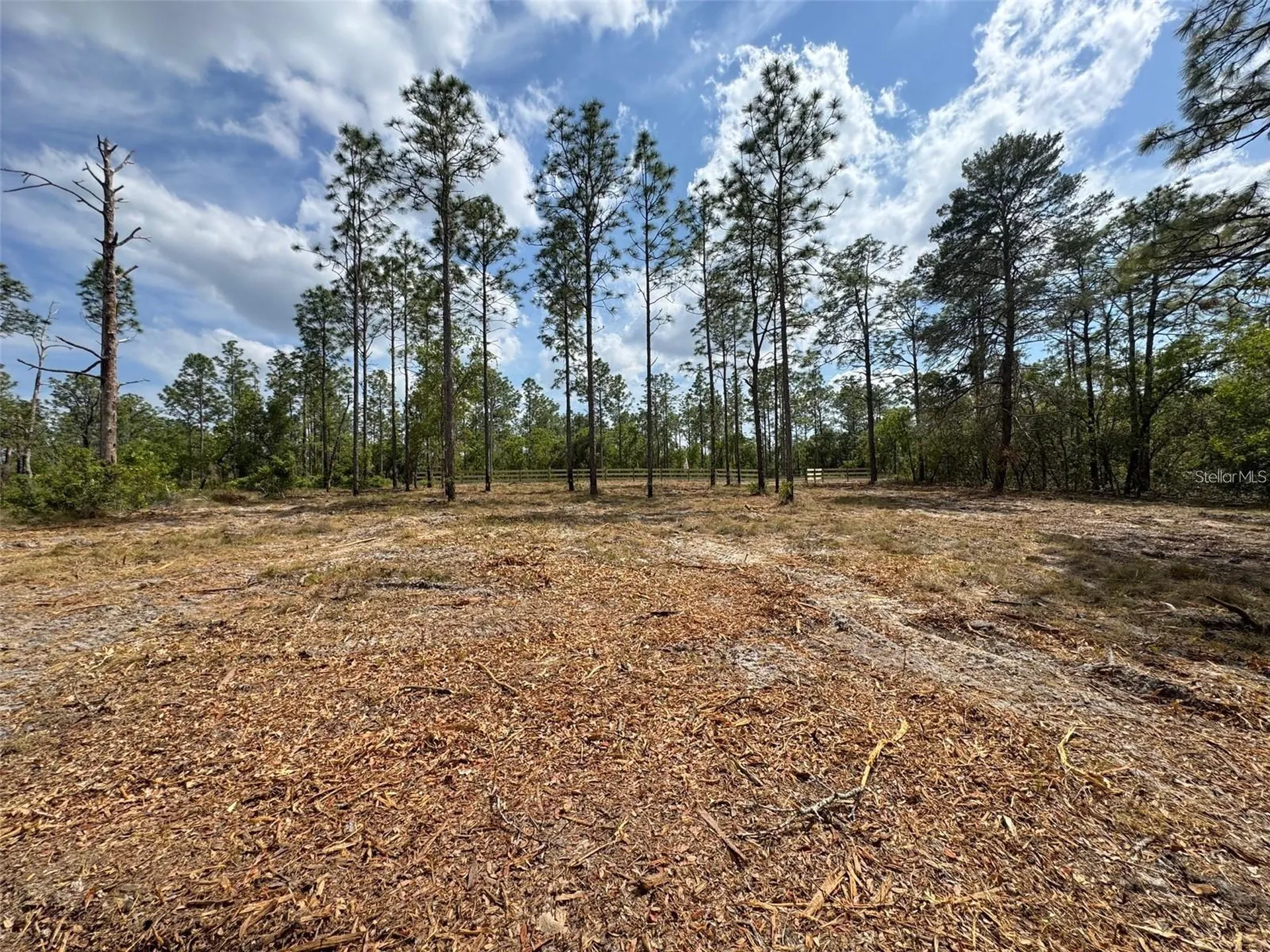 SW Edgewater Boulevard Dunnellon FL 34431