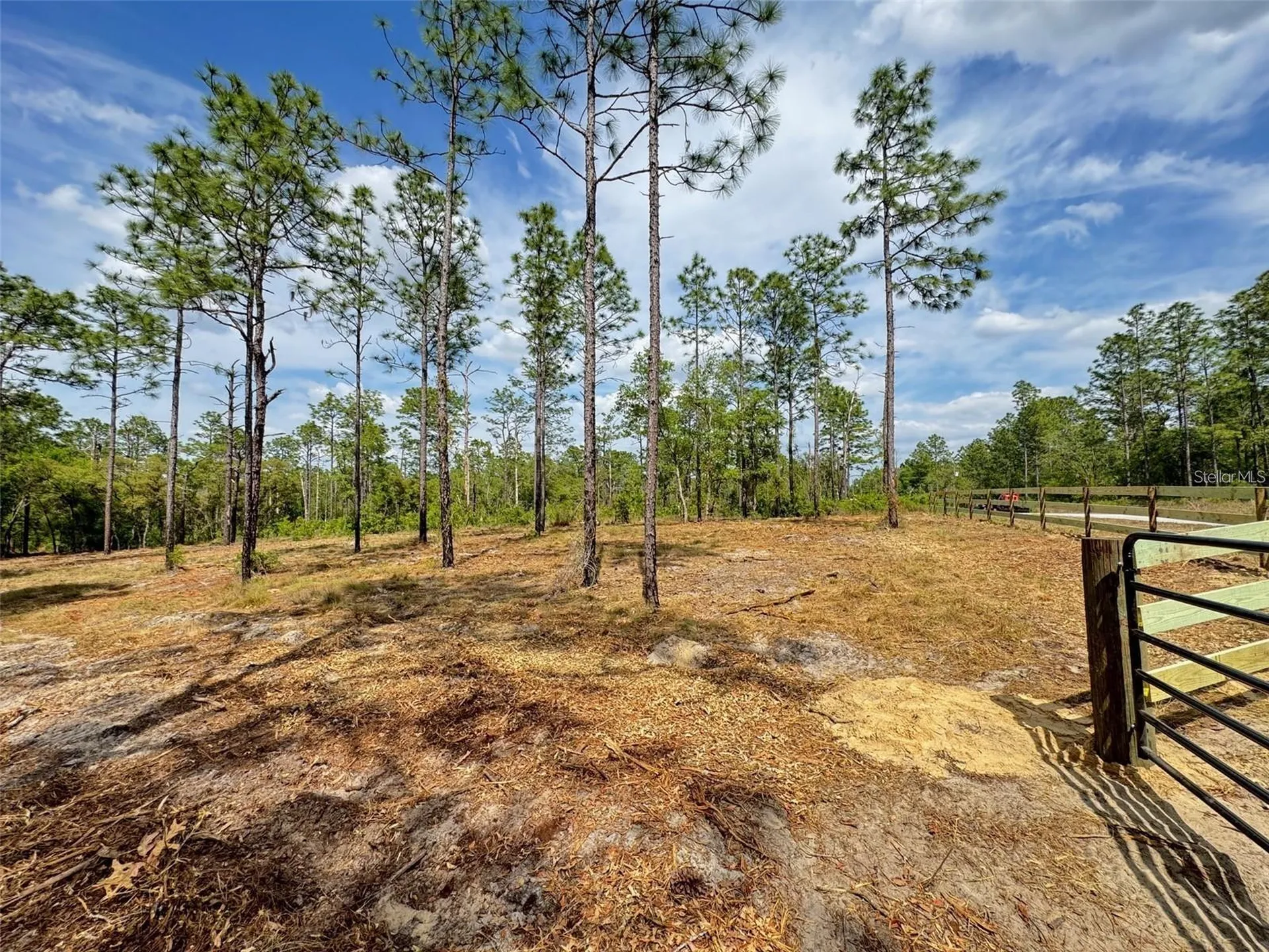 SW Edgewater Boulevard Dunnellon FL 34431