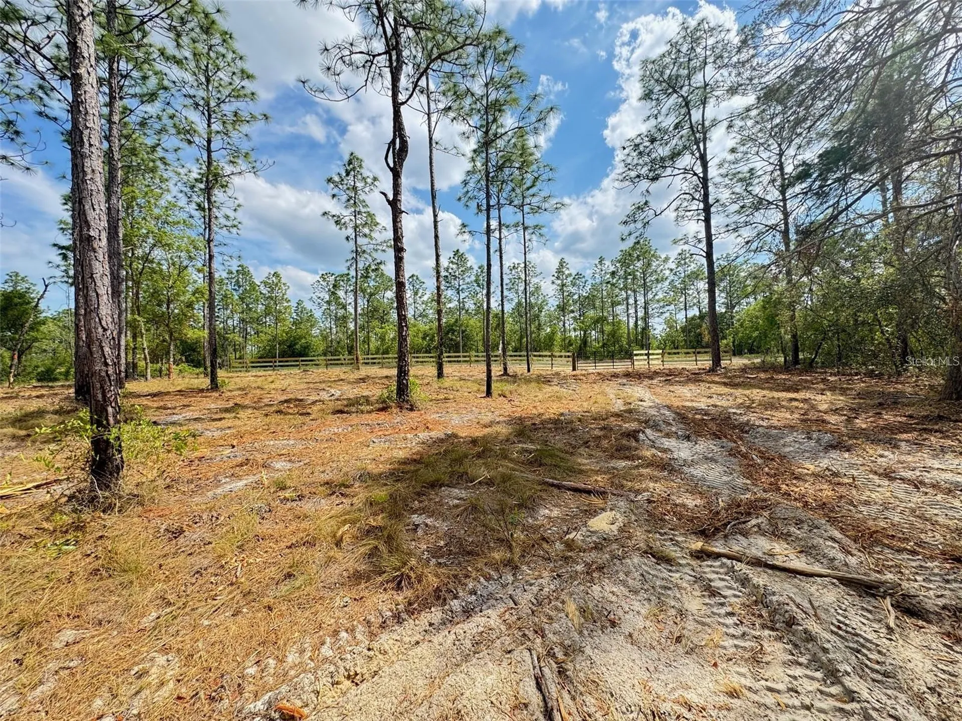 SW Edgewater Boulevard Dunnellon FL 34431