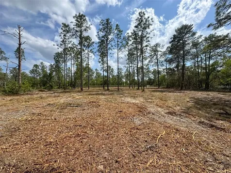 SW Edgewater Boulevard Dunnellon FL 34431