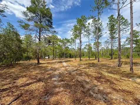 SW Edgewater Boulevard Dunnellon FL 34431
