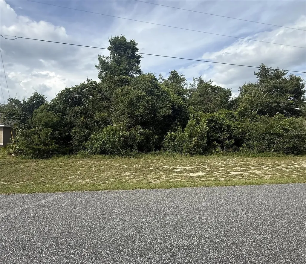Tbd SW 165th Street Road Ocala FL 34473