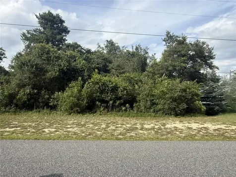 Tbd SW 165th Street Road Ocala FL 34473