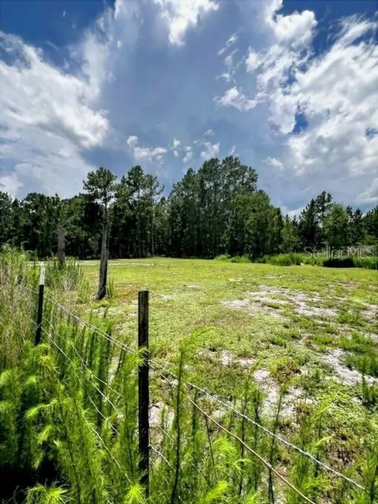 5345 S Fork Ranch Drive Clermont FL 34714