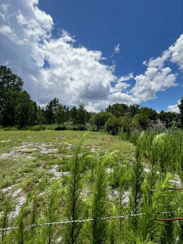 5345 S Fork Ranch Drive Clermont FL 34714