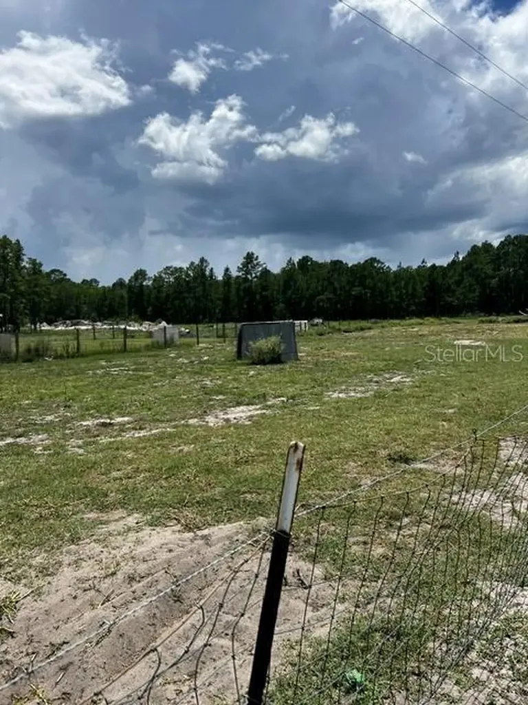 5345 S Fork Ranch Drive Clermont FL 34714