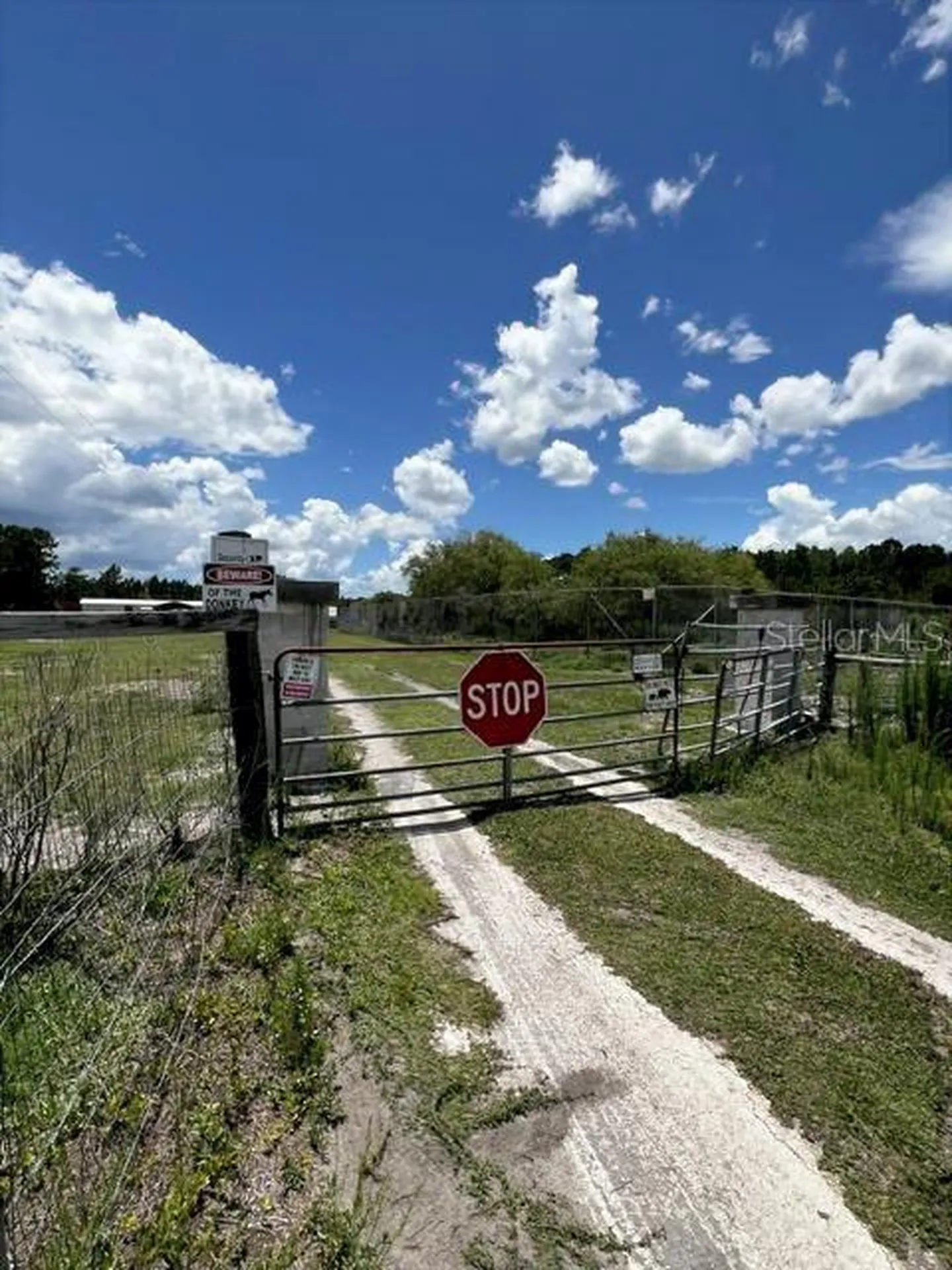 5345 S Fork Ranch Drive Clermont FL 34714