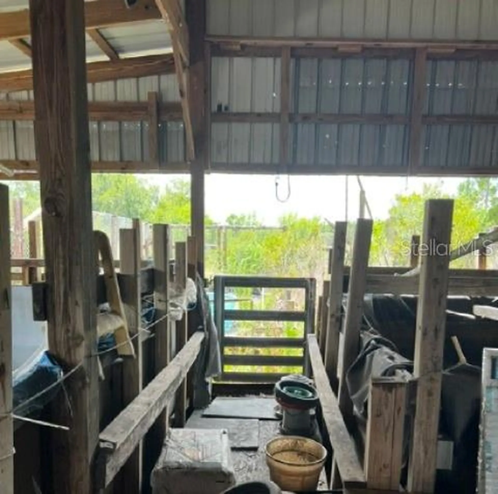 5345 S Fork Ranch Drive Clermont FL 34714
