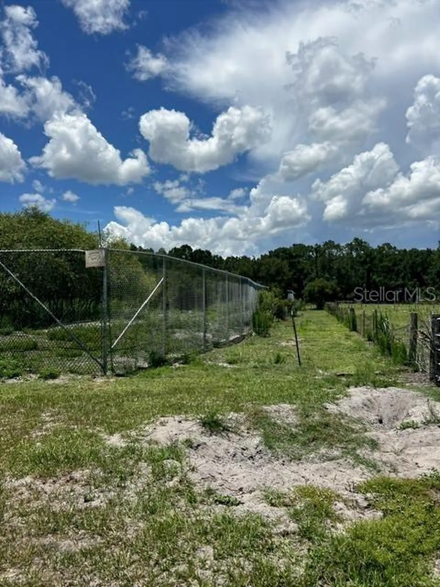 5345 S Fork Ranch Drive Clermont FL 34714