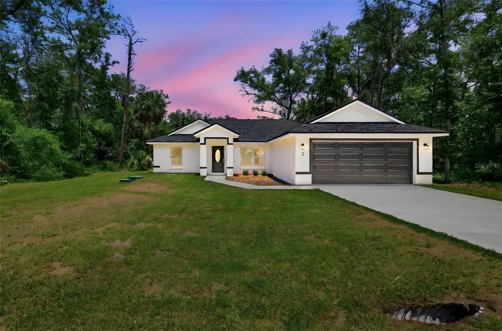 3 Sequoia Drive Trace Ocklawaha FL 32179