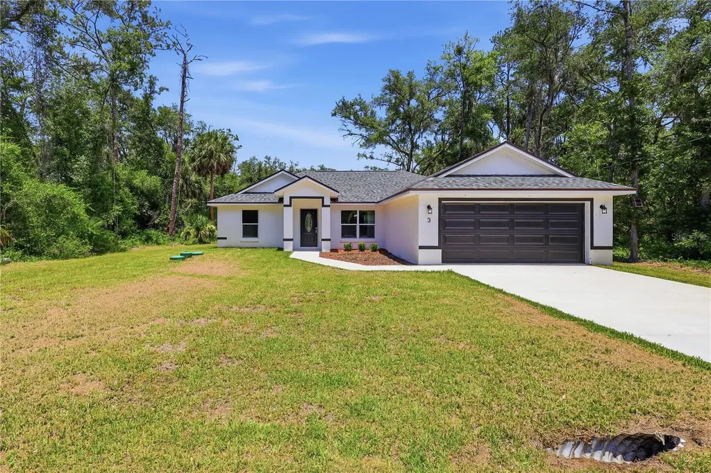 3 Sequoia Drive Trace Ocklawaha FL 32179