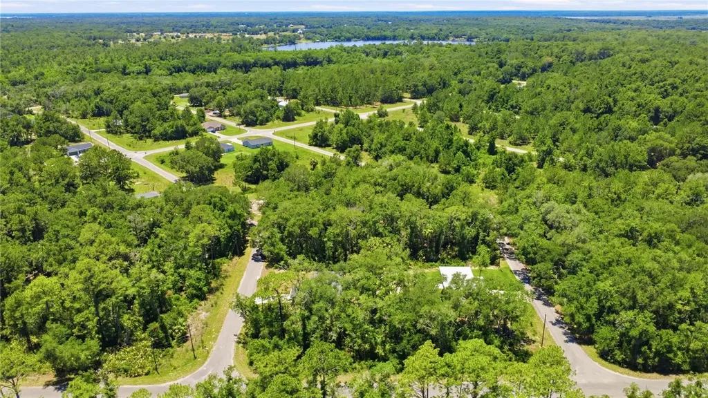 3 Sequoia Drive Trace Ocklawaha FL 32179