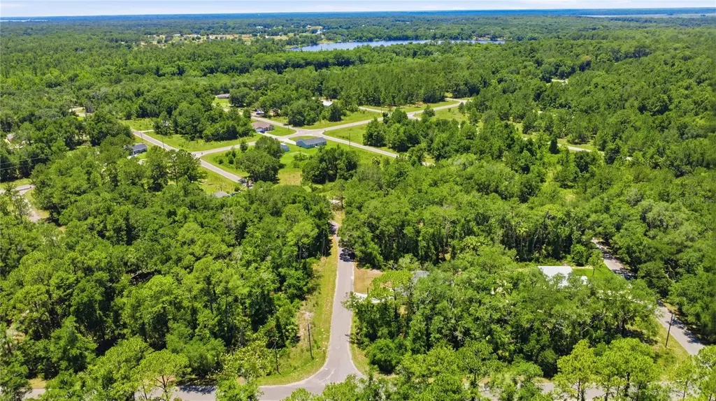 3 Sequoia Drive Trace Ocklawaha FL 32179