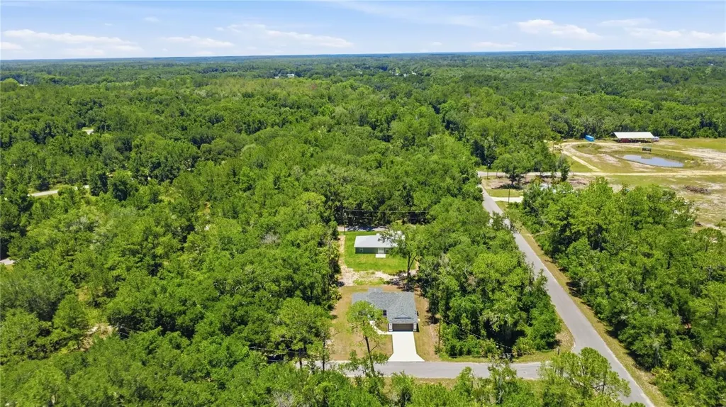 3 Sequoia Drive Trace Ocklawaha FL 32179