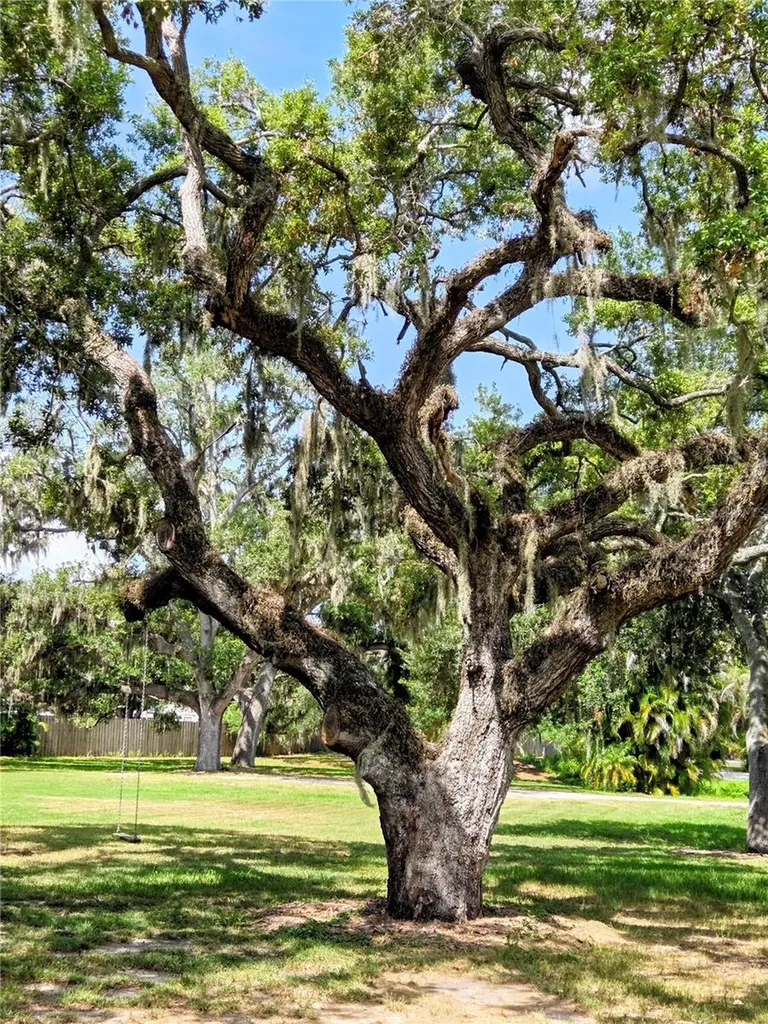 3348 Alamo Lane Sarasota FL 34235
