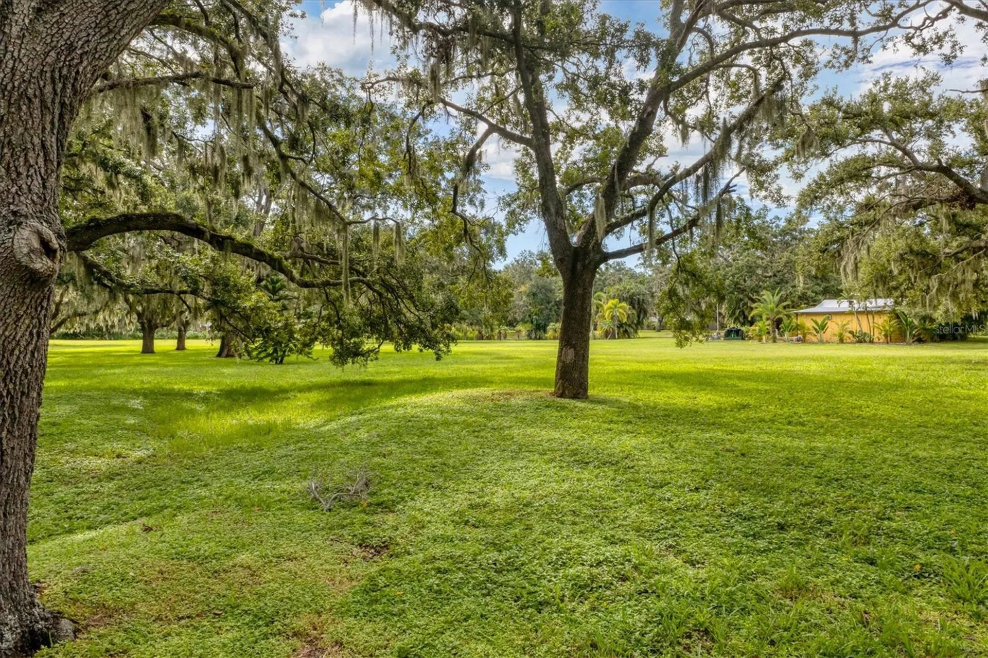 3348 Alamo Lane Sarasota FL 34235