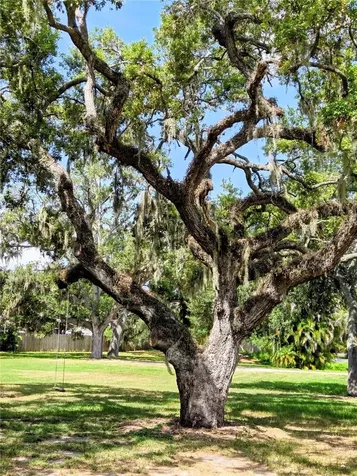 3348 Alamo Lane Sarasota FL 34235