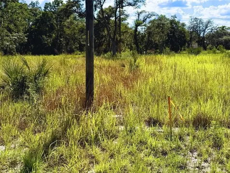 121 Central Avenue Davenport FL 33896
