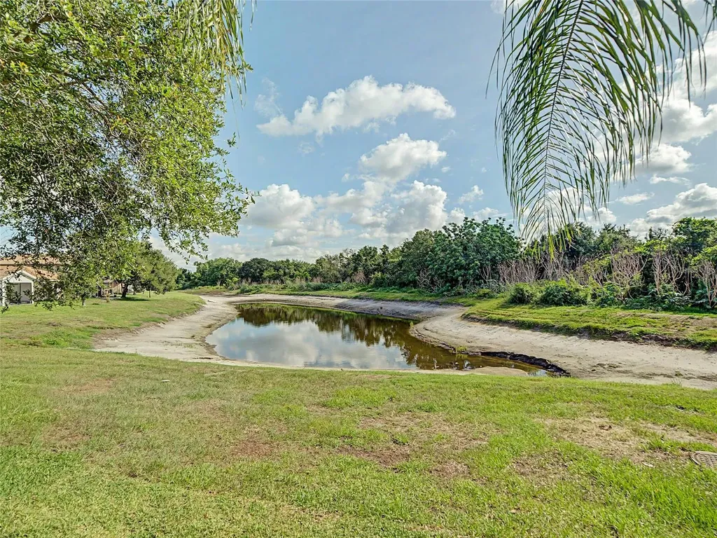 11620 Hammocks Glade Drive Riverview FL 33569