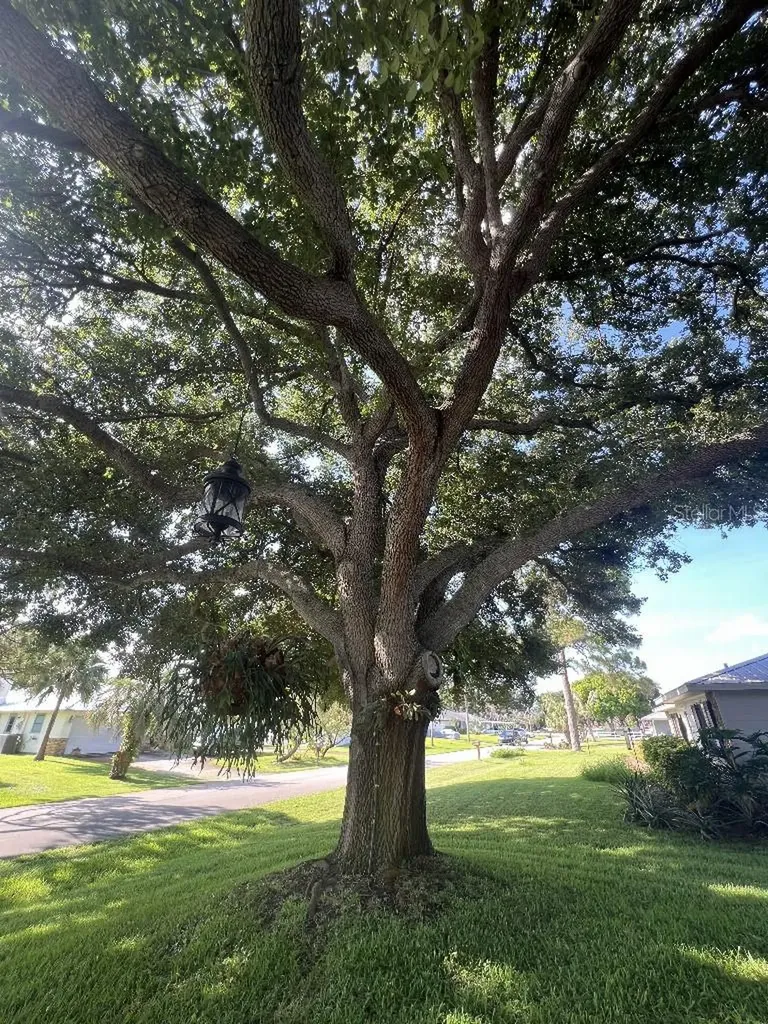 465 11th Avenue Vero Beach FL 32962