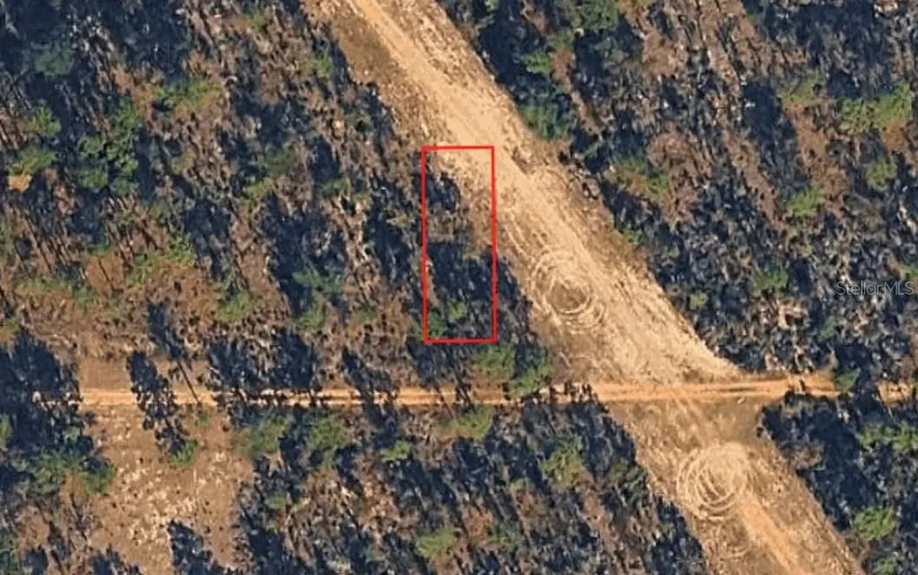 Xx Birch Avenue Interlachen FL 32148