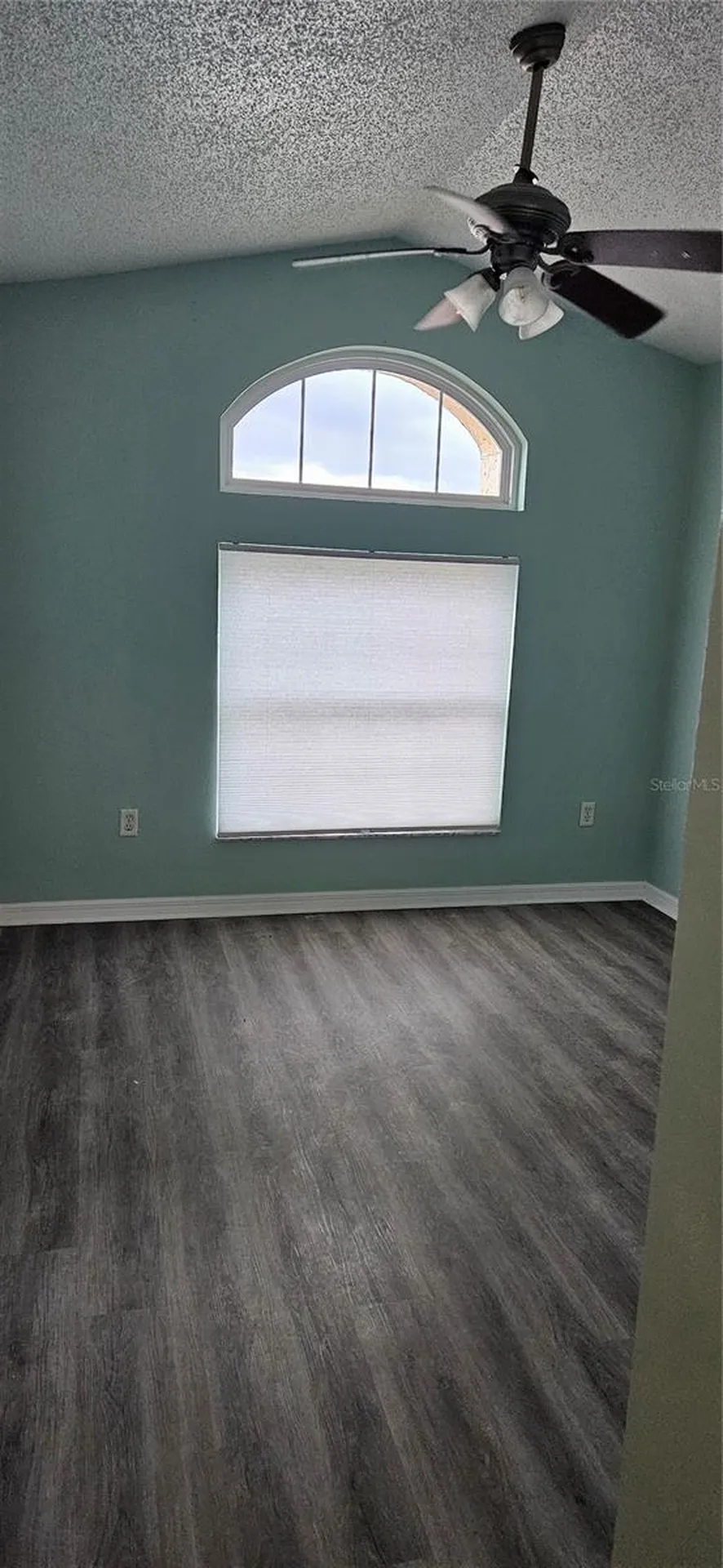 3186 Bentley Drive Palm Harbor FL 34684