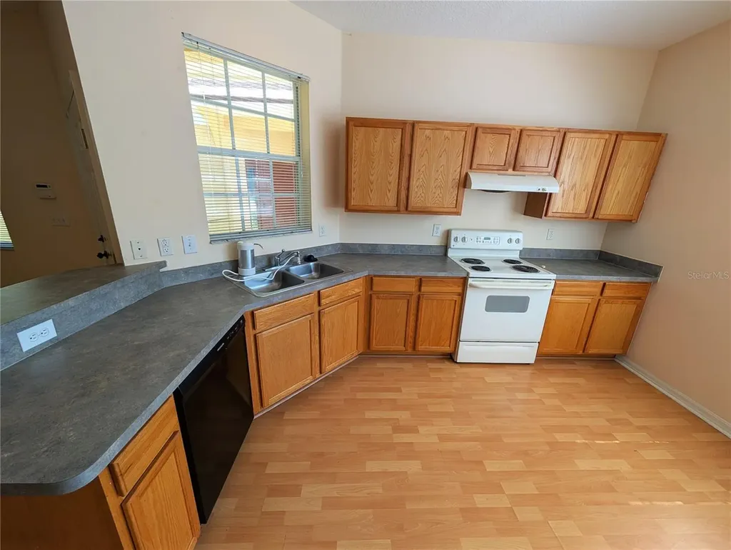 1993 Fiesta Ridge Court Tampa FL 33604